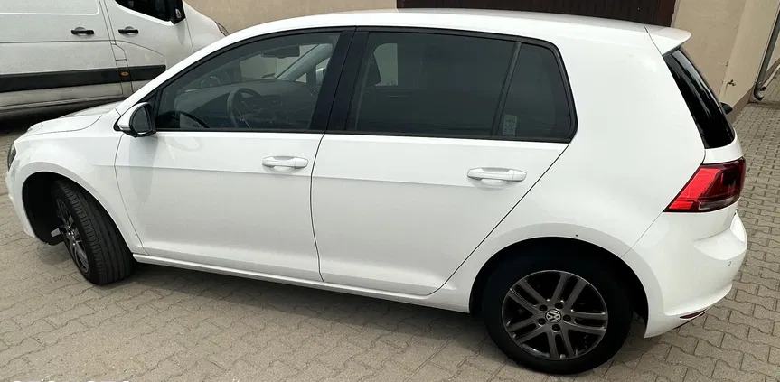 volkswagen Volkswagen Golf cena 50500 przebieg: 87000, rok produkcji 2015 z Leszno